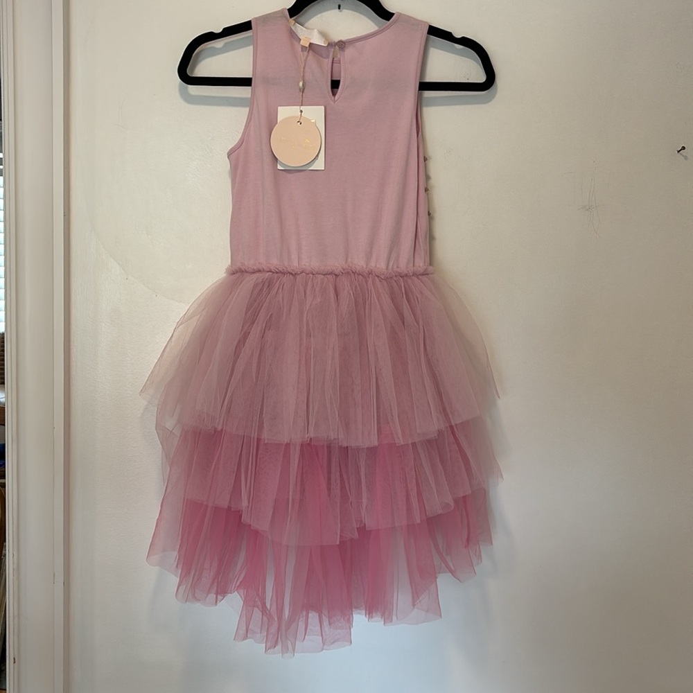 Tutu Du Monde Fortune Teller Dress in Pink and Lavendar Floral Size 10-11 - Picture 5 of 7